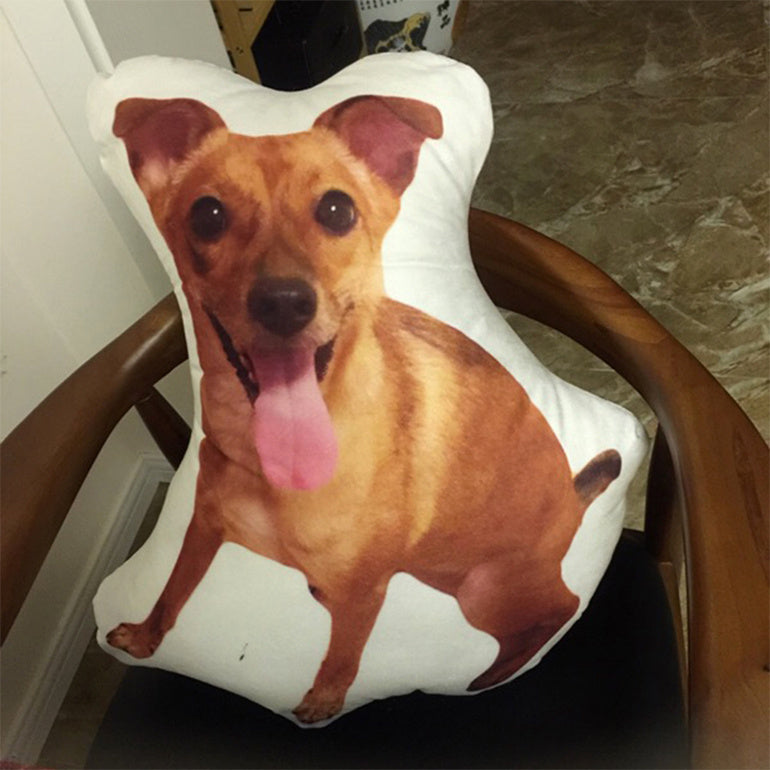Customize Pet Pillow