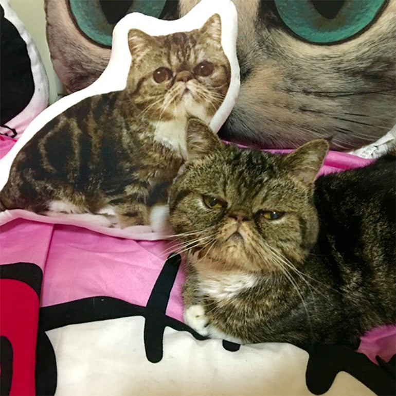 Customize Pet Pillow