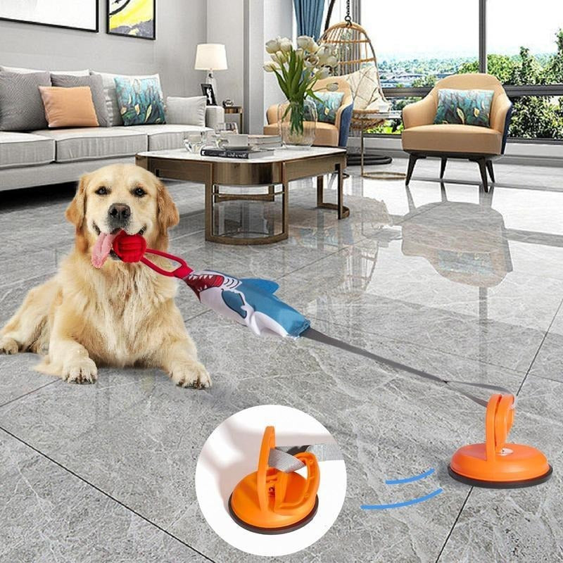 Shark Pet Toy With Super Suction Cup