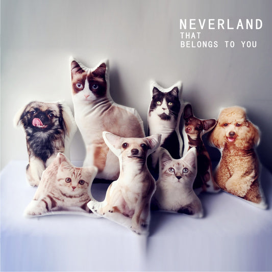 Customize Pet Pillow
