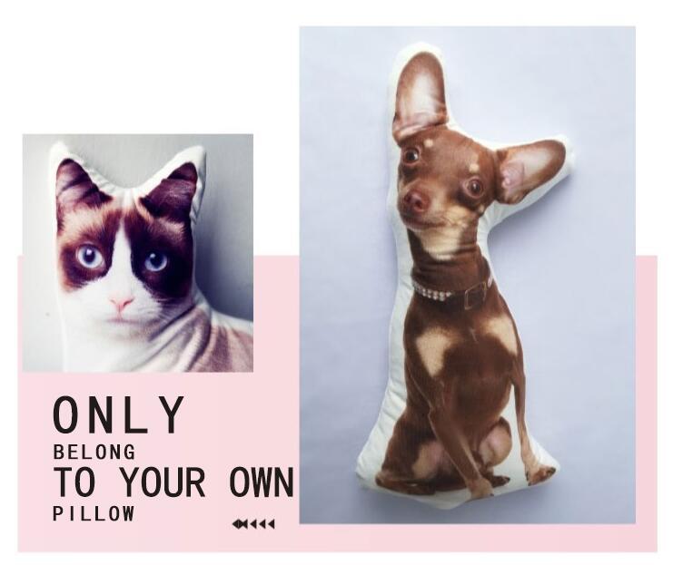 Customize Pet Pillow