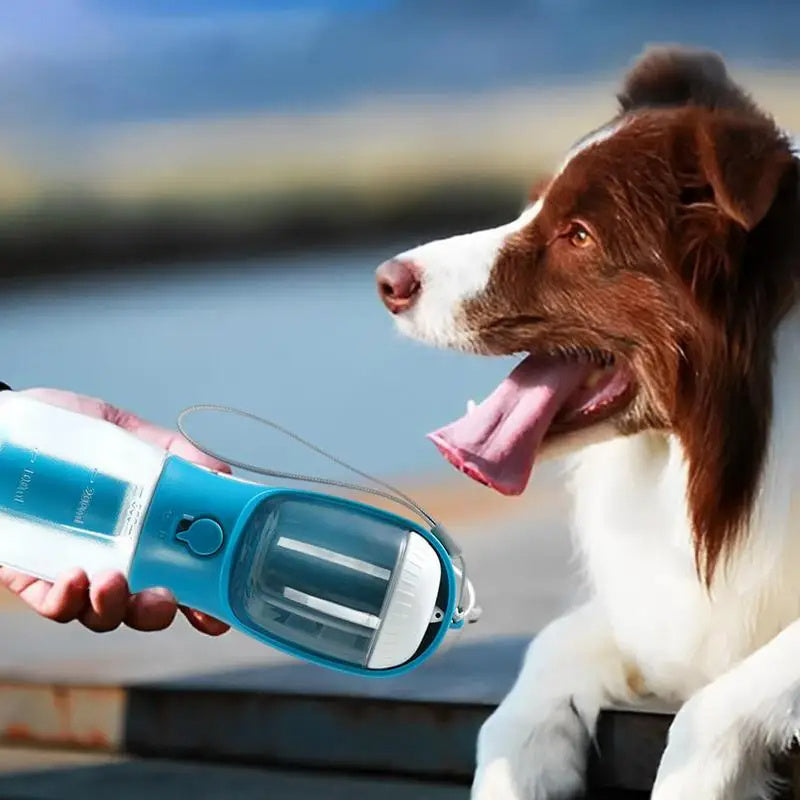 3 in 1 Pet Water Bottle