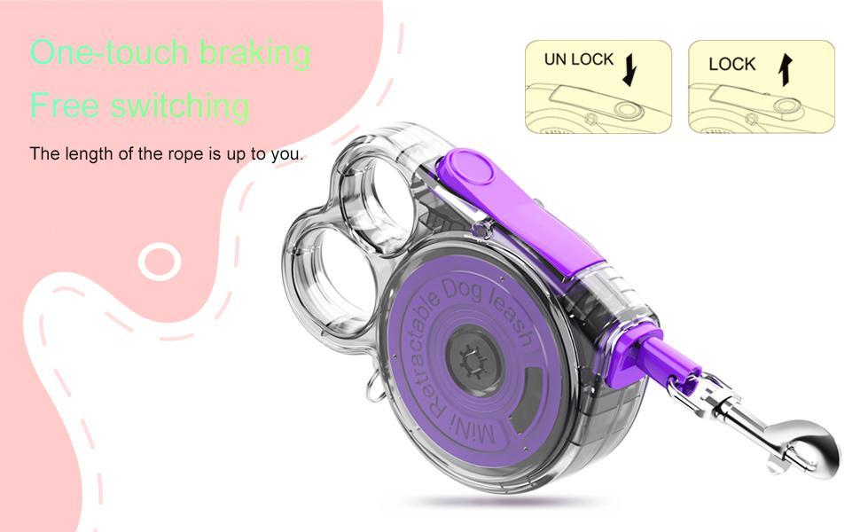 Mini Retractable Leash