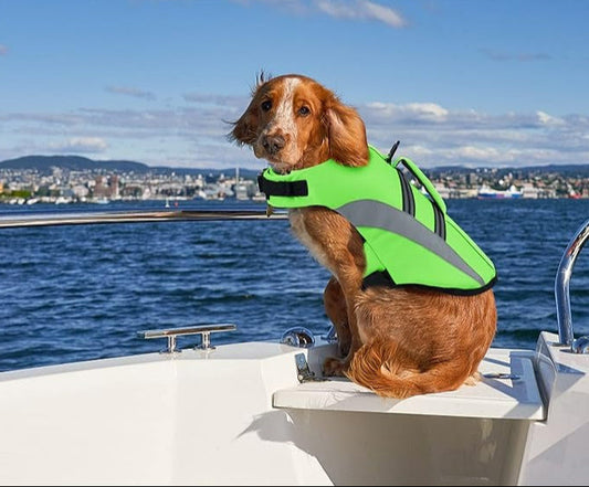 Adjustable Dog Life Vest