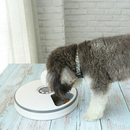 Automatic 6 Meal Food Dispenser