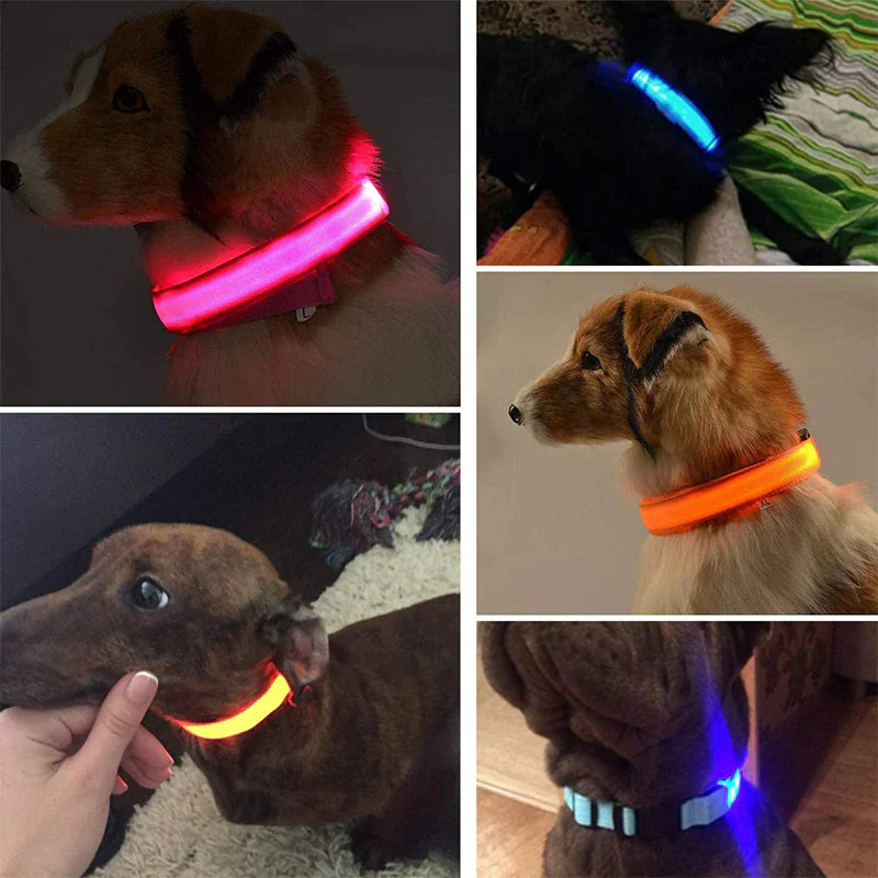 LED Premium Waterproof Collar