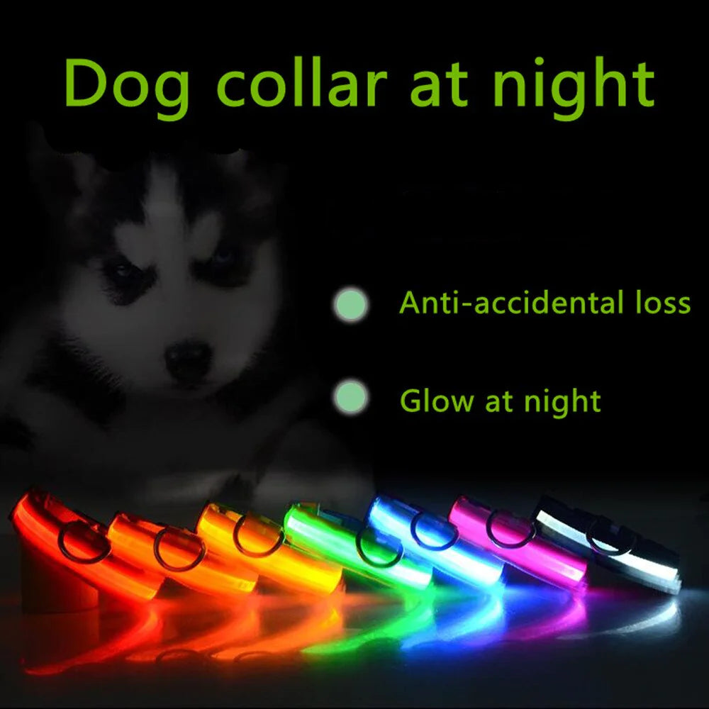 LED Premium Waterproof Collar