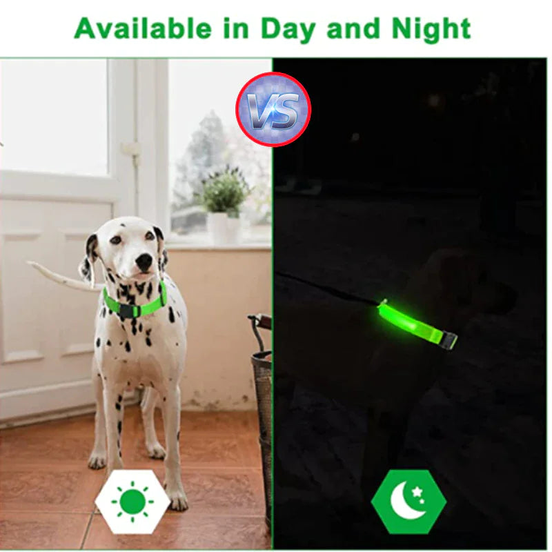 LED Premium Waterproof Collar