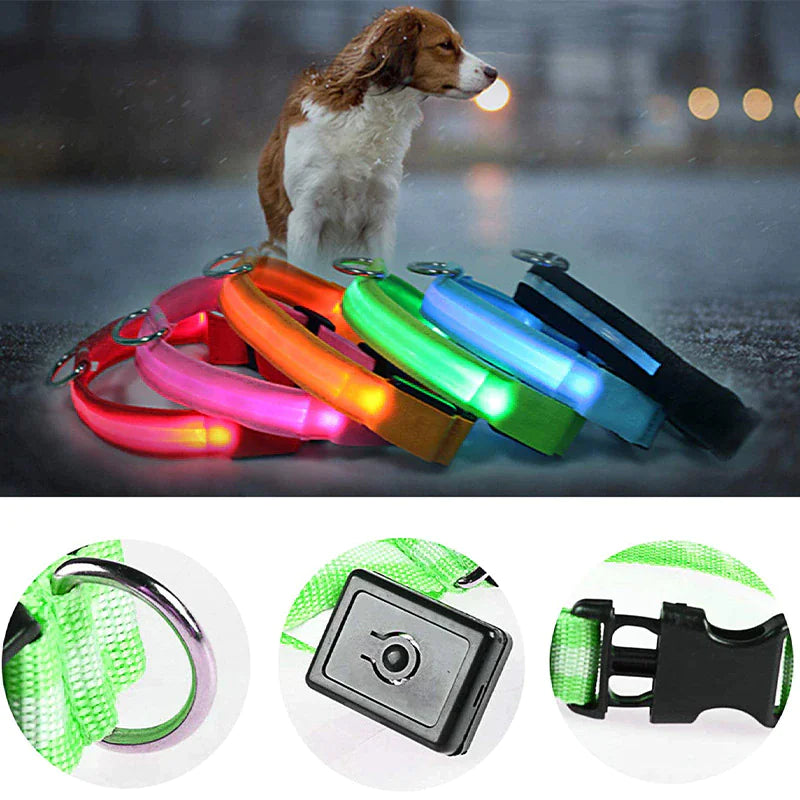 LED Premium Waterproof Collar