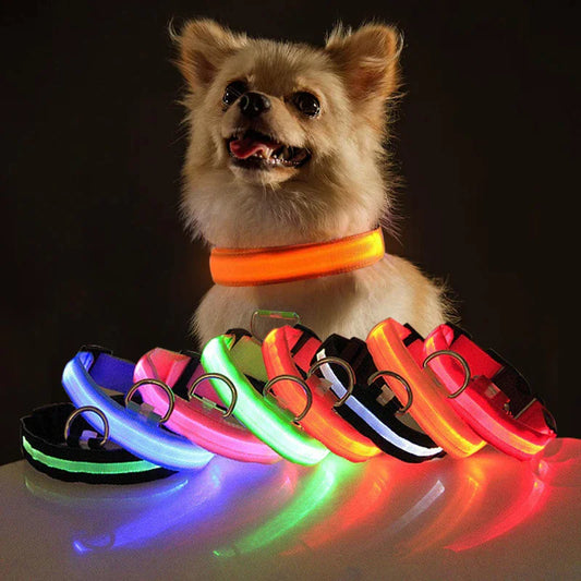 LED Premium Waterproof Collar