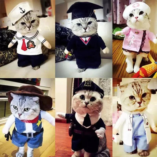 Funny Cat Halloween Costumes
