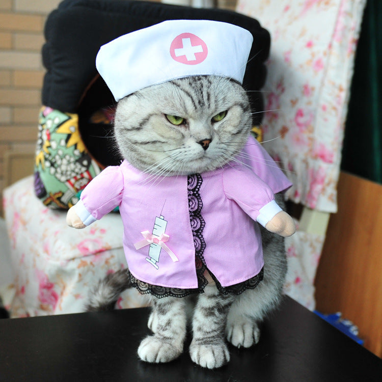 Funny Cat Halloween Costumes