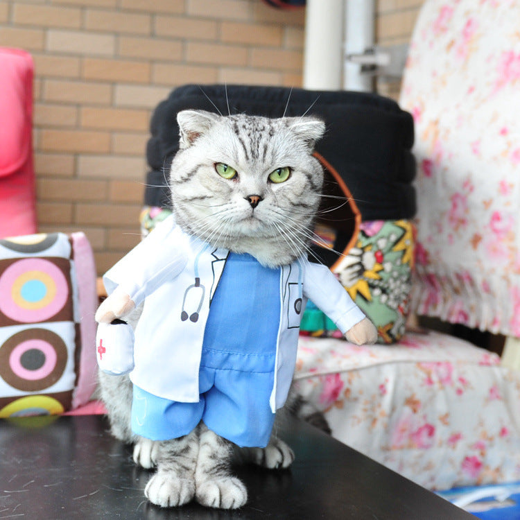 Funny Cat Halloween Costumes