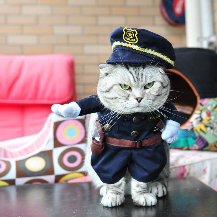 Funny Cat Halloween Costumes