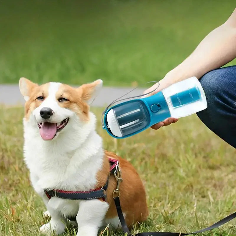 3 in 1 Pet Water Bottle