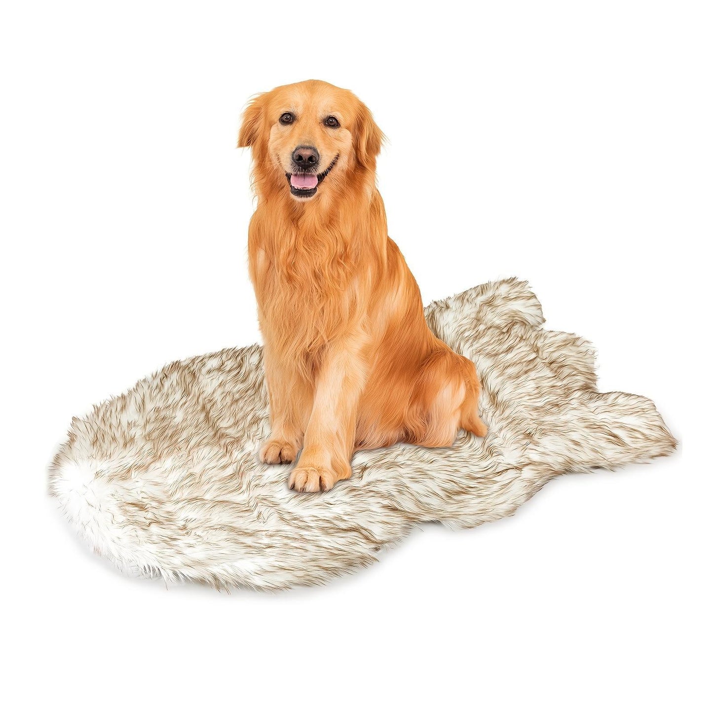 Super Soft Memory Foam Bed