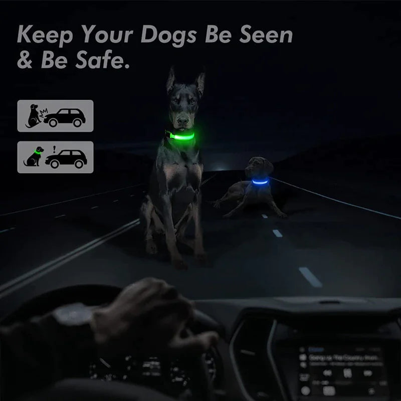 LED Premium Waterproof Collar