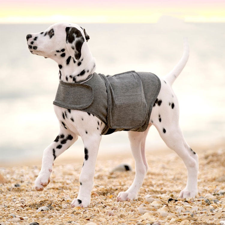 ThunderShirt Dog Anxiety Vest