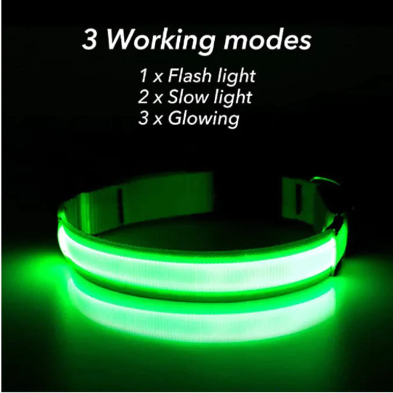 LED Premium Waterproof Collar