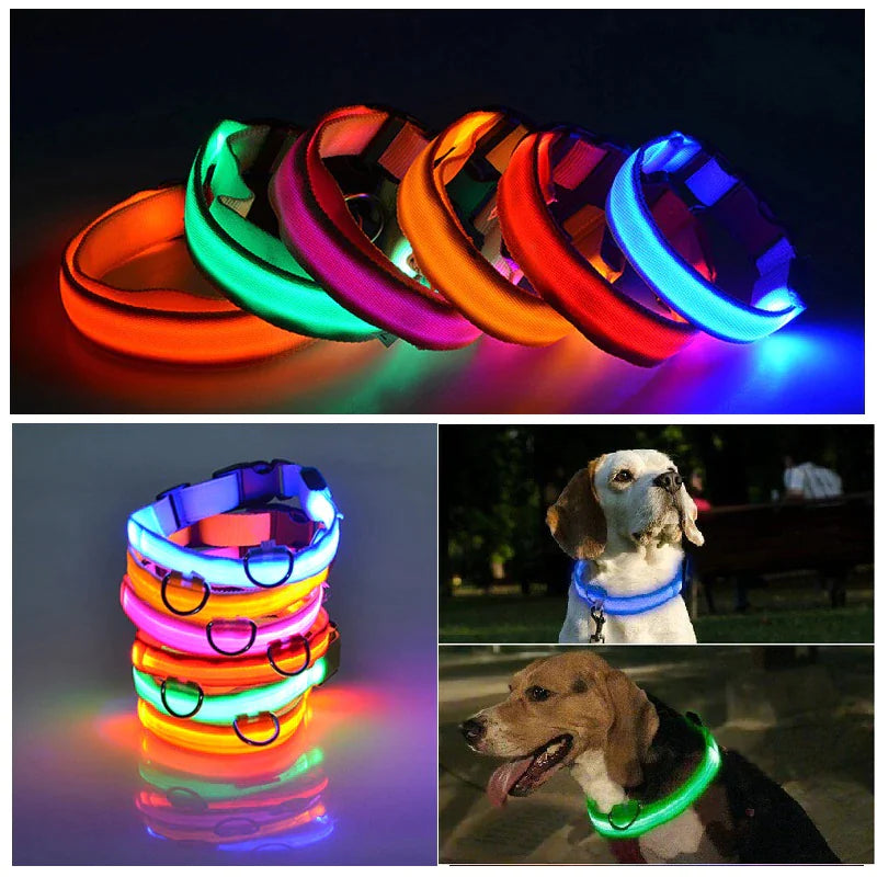 LED Premium Waterproof Collar